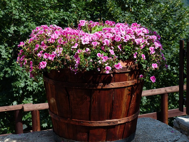 Enfield Beautification Committee